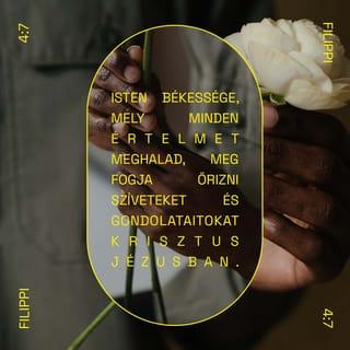 Philippians 4:7-8 - And the peace of God, which transcends all understanding, will guard your hearts and your minds in Christ Jesus.
Finally, brothers and sisters, whatever is true, whatever is noble, whatever is right, whatever is pure, whatever is lovely, whatever is admirable—if anything is excellent or praiseworthy—think about such things.
