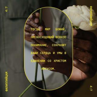 Послание к Филиппийцам 4:6-12 - Не заботьтесь ни о чем, но всегда в молитве и прошении с благодарением открывайте свои желания пред Богом, и мир Божий, который превыше всякого ума, соблюдет сердца ваши и помышления ваши во Христе Иисусе.
Наконец, братия мои, что только истинно, что́ честно, что́ справедливо, что́ чисто, что́ любезно, что́ достославно, что́ только добродетель и похвала, о том помышляйте. Чему вы научились, что́ приняли и слышали и видели во мне, то́ исполняйте, — и Бог мира будет с вами.
Я весьма возрадовался в Господе, что вы уже вновь начали заботиться о мне; вы и прежде заботились, но вам не благоприятствовали обстоятельства. Говорю это не потому, что нуждаюсь, ибо я научился быть довольным тем, что у меня есть. Умею жить и в скудости, умею жить и в изобилии; научился всему и во всем, насыщаться и терпеть голод, быть и в обилии и в недостатке.