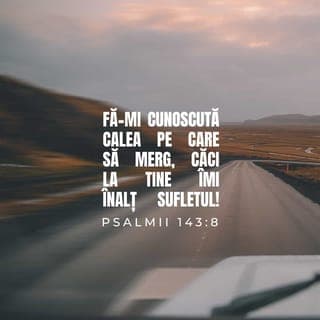 Psalmul 143:7-8 - Grăbește de m-ascultă, Doamne!
Mi se topește duhul:
nu-mi ascunde Fața Ta!
Căci aș ajunge atunci ca cei ce se coboară în groapă.
Fă-mă să aud dis-de-dimineață bunătatea Ta,
căci mă încred în Tine.
Arată-mi calea pe care trebuie să umblu,
căci la Tine îmi înalț sufletul.
