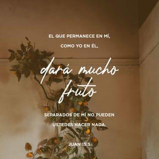 Juan 15:5 - Yo soy la vid, ustedes los sarmientos; el que permanece en Mí y Yo en él, ese da mucho fruto, porque separados de Mí nada pueden hacer.