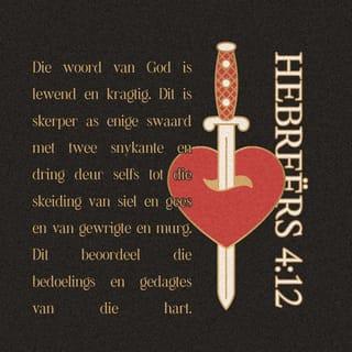 Hebreërs 4:12-16 DB Die Boodskap