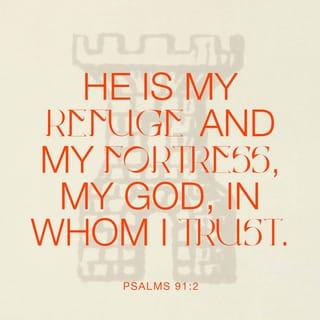 Psalms 91:2 - I say to the LORD, “You are my place of safety, my fortress.
My God, I trust in you.”