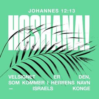Johannesevangeliet 12:13 - og mange gik ham i møde med palmegrene i hænderne og råbte: „Hoshana! Velsignet er den, som kommer i Herrens navn – Israels konge!”
