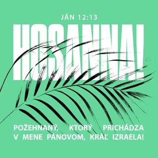 Ján 12:13 - Vzali palmové ratolesti, vyšli mu v ústrety a volali:
„Hosanna,
Požehnaný, ktorý prichádza v mene Pánovom,
kráľ Izraela!“