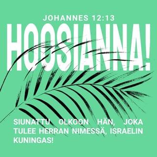 Evankeliumi Johanneksen mukaan 12:13 - ottivat palmunoksia ja menivät häntä vastaan huutaen:
– Hoosianna!
Siunattu olkoon hän, joka tulee Herran nimessä,
Israelin kuningas!