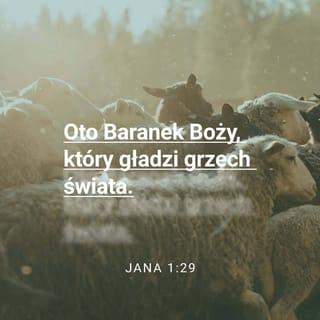 Jana 1:29 - Następnego dnia Jan ujrzał nadchodzącego Jezusa i rzekł:
—Oto Baranek, którego Bóg złoży w ofierze, aby usunąć grzech świata!