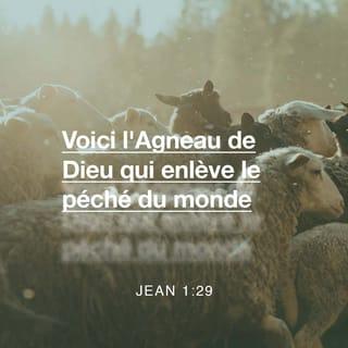 Jean 1:29 NBS Nouvelle Bible Segond