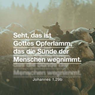 Johannes 1:29 - Am folgenden Tag sieht Johannes Jesus auf sich zukommen und spricht: Siehe, das Lamm Gottes, das die Sünde der Welt hinwegnimmt!