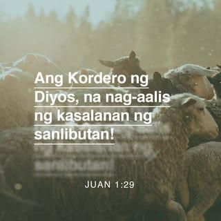 Juan 1:29 - Nang kinabukasan ay nakita ni Juan si Jesus na lumalapit sa kaniya, at sinabi, Narito, ang Cordero ng Dios, na nagaalis ng kasalanan ng sanglibutan!