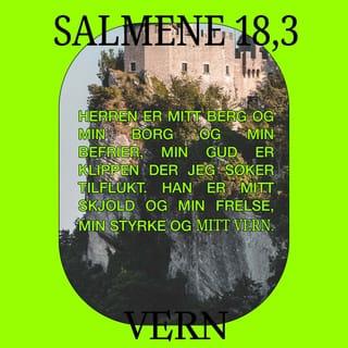 Salmene 18:2 NB