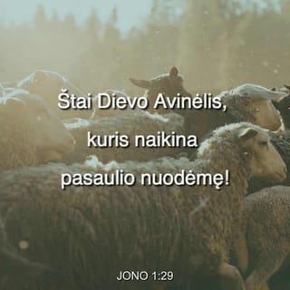 Jono 1:29 - Rytojaus dieną, matydamas ateinantį Jėzų, Jonas prabilo: „Štai Dievo Avinėlis, kuris naikina pasaulio nuodėmę!
