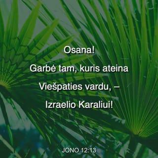 Jono 12:13 - Žmonės pasiėmė palmių šakų ir išėjo jo pasitikti, garsiai šaukdami:
„ Osana!
Garbė tam, kuris ateina Viešpaties vardu, –
Izraelio Karaliui!“