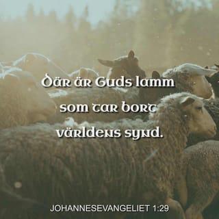 Johannes 1:29 - Nästa dag såg han Jesus komma emot honom och sa: ”Där är Guds lamm, som tar bort världens synd.