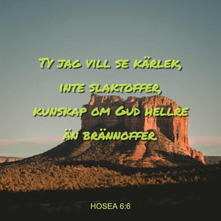 Hosea 6:6 - Ty jag vill se kärlek, inte slaktoffer,
kunskap om Gud hellre än brännoffer.