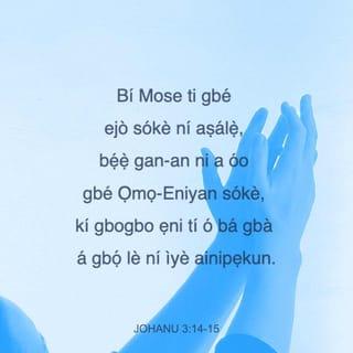 JOHANU 3:14 - Bí Mose ti gbé ejò sókè ní aṣálẹ̀, bẹ́ẹ̀ gan-an ni a óo gbé Ọmọ-Eniyan sókè