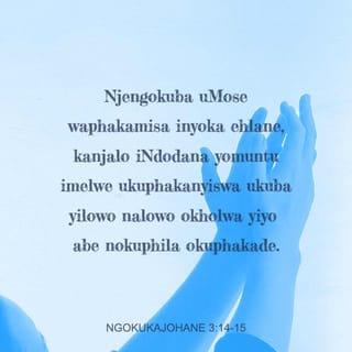 NgokukaJohane 3:14 - Njengokuba uMose waphakamisa inyoka ehlane, kanjalo iNdodana yomuntu imelwe ukuphakanyiswa
