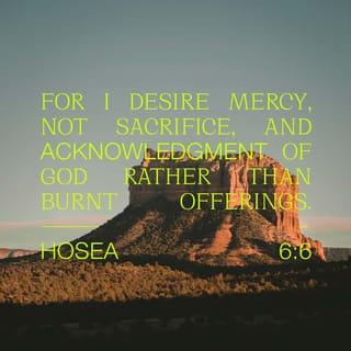 Hosea 6:6 - I want you to show love,
not offer sacrifices.
I want you to know me
more than I want burnt offerings.