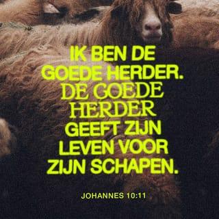 Het Evangelie van Johannes 10:11 - Ik ben de goede Herder; de goede herder stelt zijn leven voor de schapen.