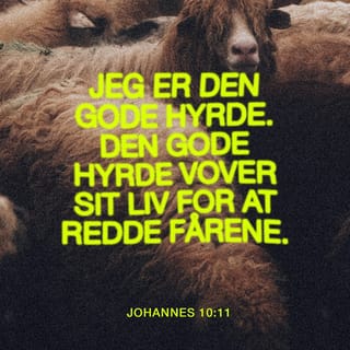 Johannesevangeliet 10:11 - Jeg er den gode Hyrde; den gode Hyrde sætter sit Liv til for Faarene.