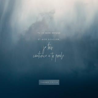 Psaumes 119:114 PDV2017