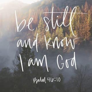 Psalms 46:10 - “Be still, and know that I am God!
I will be honored by every nation.
I will be honored throughout the world.”