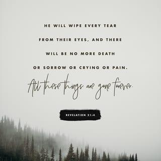 Revelation 21:4 - He will wipe away all tears from their eyes. There will be no more death, no more grief or crying or pain. The old things have disappeared.”