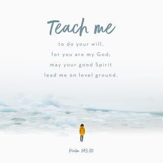 Psalms 143:10 - Teach me to do your will, because you are my God.
May your good Spirit lead me on level ground.