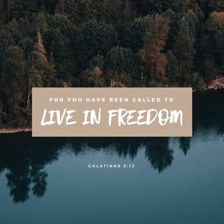 Galatians 5:13 - For you were called to be free, brothers; only don’t use this freedom as an opportunity for the flesh, but serve one another through love.