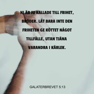 Galaterbrevet 5:13 B2000