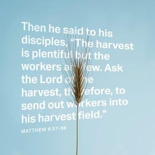 Matthew 9:37-38 - He turned to his disciples and said, “The harvest is huge and ripe! But there are not enough harvesters to bring it all in. As you go, plead with the Owner of the Harvest to thrust out many more reapers to harvest his grain!”