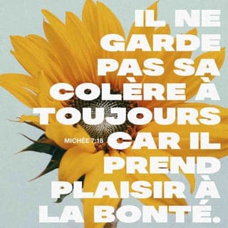 Michée 7:18-19 - Est-ce qu’il y a un dieu comme toi ?
Toi, tu enlèves les fautes,
tu pardonnes les péchés
des gens de ton peuple
qui sont restés en vie.
Ta colère ne dure pas toujours,
mais tu nous montres ta bonté avec plaisir.
De nouveau, tu auras pitié de nous,
tu écraseras nos péchés
et tu jetteras toutes nos fautes
au fond de la mer !