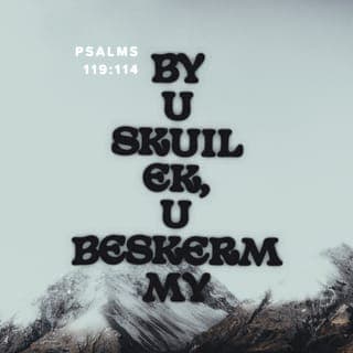 PSALMS 119:113-176 - Ek haat huigelary,
maar u wet het ek lief.
By U skuil ek, U beskerm my,
in u woord stel ek my vertroue.
Gaan weg van my af, julle wat onreg doen;
ek sal aan die gebooie van my God gehoorsaam bly.
Laat my vas staan soos U beloof het, dat ek kan lewe,
dat ek nie teleurgestel sal wees in my verwagting nie.
Beskerm my, dan sal ek behoue bly
en u voorskrifte gedurig voor oë hou.
U verwerp almal wat van u voorskrifte afdwaal;
met hulle ontrou mislei hulle hulleself.
U verwyder al die goddeloses van die aarde af
soos waardelose skuim,
daarom het ek u verordeninge lief.
Ek sidder van vrees vir U,
ek het diepe ontsag vir u bepalings.
Ek het gedoen wat reg en regverdig is,
moet my tog nie oorgee aan die genade van dié wat my veronreg nie.
Tree tog vir my in dat dit met my goed kan gaan,
moenie toelaat dat hovaardige mense my verdruk nie.
Ek smag na die bevryding wat U bring,
na u woord wat my red.
Handel met my volgens u troue liefde,
leer my u voorskrifte.
Ek is u dienaar: onderrig my tog in u verordeninge.
Dit is tyd dat die Here ingryp teen dié wat sy wet oortree.
Ek het u gebooie liewer as goud, as fyn goud.
Daarom leef ek nougeset volgens al u bevele
en haat ek elke verkeerde pad.
U verordeninge is wonderlik,
daarom kom ek hulle na.
Wanneer u woord vir mense oopgaan, bring dit lig;
dit gee insig aan dié wat nog onervare is.
Met my hele wese smag ek na u gebooie,
verlang ek daarna.
Sien my in genade aan
soos U altyd doen vir dié wat u Naam liefhet.
Laat u woord my op die regte pad hou;
moet tog nie dat enige kwaad die oorhand oor my kry nie.
Bevry my van veronregting deur mense.
Ek wil u bevele gehoorsaam.
Verskyn tog tot my redding,
leer my u voorskrifte.
My trane vloei sonder ophou
omdat die mense u wet nie onderhou nie.
U is regverdig, Here,
wat U bepaal, is reg.
In groot regverdigheid en trou het U u verordeninge uitgevaardig.
Ontsteltenis verteer my
omdat my teëstanders u woord verontagsaam.
U woord is baie suiwer,
ek het dit lief.
Al is ek gering en verag,
u bevele verontagsaam ek nie.
U is altyd getrou en regverdig,
u wet staan altyd vas.
Al oorval angs en benoudheid my,
in u gebooie bly ek my verlustig.
U verordeninge is altyd regverdig;
gee my insig daarin, dat ek kan lewe.
Ek roep na U met my hele hart,
verhoor tog my gebed, Here,
ek wil u voorskrifte nakom.
Ek roep na U, red my,
ek wil u verordeninge gehoorsaam.
In die oggendskemer al roep ek om hulp
en stel ek my vertroue in u woord.
Die hele nag lê ek wakker
en oorpeins ek u woord.
Handel volgens u liefde, Here, luister tog na my.
Laat u bepalings geld, hou my in die lewe.
Dié wat my met soveel lis vervolg, kom steeds nader,
maar van u wet af bly hulle ver.
U is by my, Here,
alles wat U gebied het, staan vas.
Van lankal af weet ek van u verordeninge
dat U hulle altyd vas laat staan.
Aanskou tog my ellende en red my,
want u wet het ek nie verontagsaam nie.
Behartig tog my saak en bevry my,
hou my in die lewe volgens u belofte.
Vir die goddeloses is daar nie uitkoms nie,
want hulle steur hulle nie aan u voorskrifte nie.
U barmhartigheid is groot, Here,
laat u bepalings geld, hou my in die lewe.
Ek het baie vervolgers en teëstanders,
maar van u verordeninge wyk ek nie af nie.
Ek het die verraad van die ontroues gesien,
en dit het my met walging vervul dat hulle u woord nie gehoorsaam nie.
Neem tog in ag dat ek u bevele liefhet, Here, hou my in die lewe omdat U my liefhet.
Op u woord kan 'n mens hom geheel en al verlaat.
Al u bepalings is regverdig. Hulle staan vas.
Maghebbers vervolg my sonder oorsaak,
maar u woord is die enigste wat ek vrees.
Oor u woord is ek so bly
soos iemand wat 'n groot skat in die hande gekry het.
Ek haat en verafsku leuens,
maar u wet het ek lief.
Ek loof U soveel keer elke dag oor u bepalings.
Hulle is regverdig.
Vir dié wat u wet liefhet, is daar groot sekerheid;
niks kan hulle laat struikel nie.
Ek vestig my hoop op hulp van U, Here,
u gebooie gehoorsaam ek.
Ek kom u verordeninge na,
ek het hulle baie lief.
U bevele en verordeninge gehoorsaam ek.
My hele lewe lê oop voor U.
Gee tog ag op my geroep, Here,
gee my insig soos U beloof het.
Luister tog na my smeekgebed,
red my volgens u belofte.
Die lof sal oor my lippe stroom,
want U leer my u voorskrifte.
Ek sal u woord besing,
want al u gebooie is regverdig.
Help my tog altyd,
want ek stel u bevele eerste.
Ek smag na u hulp, Here,
in u wet vind ek my vreugde.
Laat my lewe dat ek U kan loof,
laat u bepalings my steun wees.
As ek sou ronddwaal
soos 'n skaap wat weggeraak het,
soek my dan,
want u gebooie het ek nie verontagsaam nie.