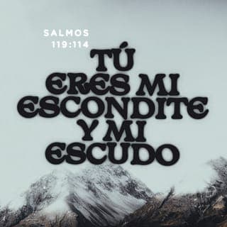 Salmos 119:114-165 - Tú eres mi escondite; eres mi escudo;
en tu palabra he puesto mi esperanza.
Ustedes los malhechores: ¡apártense de mí,
que quiero obedecer los mandamientos de mi Dios!
Aliméntame con tu palabra, y viviré;
¡no permitas que se frustre mi esperanza!
Sostenme, y estaré a salvo,
y siempre me alegraré en tus estatutos.
Tú humillas a los que se apartan de tus estatutos,
porque su astucia es pura falsedad.
Consumes como a basura a todos los malvados,
por eso yo amo tus testimonios.
Todo mi ser se estremece de temor;
¡tiemblo a causa de tus sentencias!
Yo practico el derecho y la justicia;
¡no me dejes caer en poder de mis enemigos!
Trata con bondad a este siervo tuyo;
que no se aprovechen de mí los soberbios.
Mis ojos desfallecen esperando que me salves,
y que con tu palabra me hagas justicia.
Trátame con misericordia,
y enséñame tus estatutos.
Yo soy tu siervo, y quiero entender
y llegar a conocer tus testimonios.
Señor, ¡llegó el momento de que actúes,
pues los malvados han anulado tu ley!
Por eso yo amo tus mandamientos,
porque son mejores que el oro más puro.
Yo estimo la rectitud y pureza de tus mandamientos;
por eso me he alejado de la senda de mentira.
Tus testimonios son admirables;
por eso son el tesoro de mi alma.
La enseñanza de tus palabras ilumina;
y hasta la gente sencilla las entiende.
Grandes son mi sed y mis ansias
por recibir y entender tus mandamientos.
Mírame, y ten misericordia de mí,
como la tienes con quienes te aman.
Ordena mis pasos con tu palabra,
para que el pecado no me domine.
Protégeme de los hombres violentos,
porque deseo obedecer tus mandamientos.
Alumbra con tu presencia a este siervo tuyo,
y enséñame tus estatutos.
De mis ojos brota el llanto a mares,
porque hay gente que no obedece tu ley.
Tú, Señor, eres justo,
y tus sentencias son rectas.
Los mandamientos que nos has dado
son también justos y verdaderos.
Pero el enojo me consume,
porque mis enemigos olvidaron tu palabra.
Tu palabra es todo pureza;
por eso yo, tu siervo, la amo.
Yo soy insignificante, y nada valgo,
pero no me olvido de tus mandamientos.
Tu justicia es siempre justa,
y tu ley es la verdad.
La aflicción y la angustia me dominan,
pero el gozo de tus mandamientos me levanta.
Tus testimonios son siempre justos;
dame entendimiento y viviré.
Señor, yo te llamo con todo el corazón;
¡respóndeme, y cumpliré tus estatutos!
¡Sálvame, pues a ti elevo mi clamor!
¡Quiero obedecer tus testimonios!
Clamo a ti antes de que amanezca,
y me quedo esperando tu respuesta.
Me mantengo despierto toda la noche
para meditar en tus mandatos.
Señor, escúchame, por tu misericordia;
¡dame vida, conforme a tu justicia!
Mis malvados perseguidores ya están cerca,
pero de tu ley están muy lejos.
Pero tú, Señor, sí estás muy cerca,
y todos tus mandamientos son verdad.
Hace tiempo llegué a conocer tus mandatos,
los cuales estableciste para la eternidad.
Mira mi aflicción, y ven a salvarme,
pues no me he olvidado de tu ley.
¡Defiéndeme, y ponme a salvo!
¡Dame vida con tu palabra!
Los malvados están lejos de tu salvación,
porque no buscan tus estatutos.
Señor, tú eres muy bondadoso;
¡dame vida de acuerdo a tu justicia!
Son muchos los enemigos que me persiguen,
pero yo no me aparto de tus testimonios.
No soporto ver a esos traidores,
porque no obedecen tus palabras.
Señor, ¡mira cuánto amo tus mandamientos!
¡Dame vida, conforme a tu misericordia!
La verdad es la esencia de tu palabra,
y tus juicios son siempre justos.
Los poderosos me persiguen sin motivo,
pero yo respeto y honro tu palabra.
Es tal la alegría que me causa tu palabra
que es como hallar un gran tesoro.
No soporto la mentira. ¡La aborrezco!
Pero amo tus enseñanzas.
Siete veces al día te alabo
porque tus juicios son siempre justos.
Los que aman tu ley viven en completa paz,
porque saben que no tropezarán.