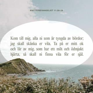Matye 11:28-30 - — Vini jwenn mwen, nou tout ki bouke, nou tout ki anba chay, m'a soulaje nou. Pran jouk mwen, mete l sou zepòl nou. Pran leson nan men mwen. Paske mwen dou, mwen toujou soumèt mwen tout bon devan Bondye. Konsa, n'a viv ak kè poze. Paske, jouk m'ap ban nou an fasil pou pote, chay m'ap ban nou an pa lou.