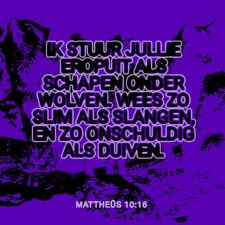 Mattheüs 10:16-28 HSV Herziene Statenvertaling
