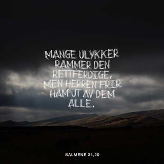 Salmene 34:19 NB
