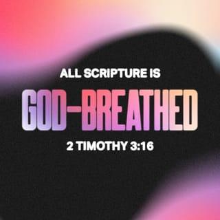 2 Timothy 3:16 - All Scripture is inspired by God and is useful to teach us what is true and to make us realize what is wrong in our lives. It corrects us when we are wrong and teaches us to do what is right.