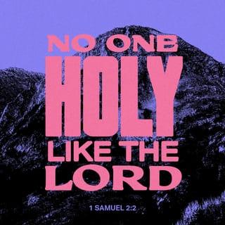 1 Samuel 2:2 - “There is none holy as the LORD,
for there is none besides You,
and there is no rock like our God.