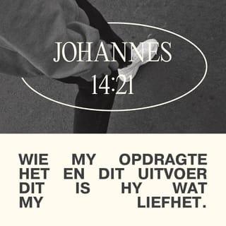 Johannes 14:21 - As julle weet wat Ek wil hê julle moet doen, en julle doen dit, dan wys julle dat julle lief is vir My. As julle lief is vir My, dan sal my Vader ook lief wees vir julle. Dan sal Ek ook lief wees vir julle en Ek sal vir julle wys wie Ek is.”