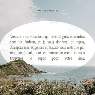 Matthieu 11:28-30 NFC Nouvelle Français courant