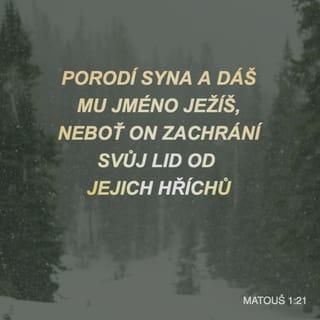 Matouš 1:20-25 - Když však o tom přemýšlel, hle, ve snu se mu ukázal Hospodinův anděl a řekl: „Josefe, synu Davidův, neboj se vzít si Marii za manželku, neboť to, co v ní bylo počato, je z Ducha svatého. Porodí syna a dáš mu jméno Ježíš, neboť on zachrání svůj lid od jejich hříchů.“
To vše se stalo, aby se naplnilo, co Hospodin řekl ústy proroka: „Hle, panna počne a porodí syna a dají mu jméno Immanuel,“ což se překládá: Bůh je s námi.
Když se Josef probudil, zachoval se, jak mu přikázal Hospodinův anděl, a vzal si Marii za manželku. Nespal s ní ale až do doby, kdy porodila syna, jemuž dal jméno Ježíš.