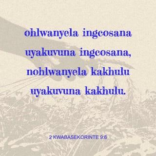 2 kwabaseKorinte 9:6 - Kepha nakhu: ohlwanyela ingcosana uyakuvuna ingcosana, nohlwanyela kakhulu uyakuvuna kakhulu.