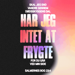 Salmernes Bog 23:4 BPH