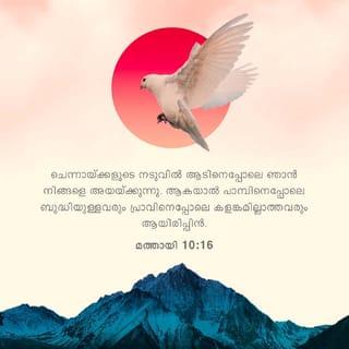 മത്തായി 10:16-20 - ചെന്നായ്ക്കളുടെ നടുവിൽ ആടിനെപ്പോലെ ഞാൻ നിങ്ങളെ അയയ്ക്കുന്നു. ആകയാൽ പാമ്പിനെപ്പോലെ ബുദ്ധിയുള്ളവരും പ്രാവിനെപ്പോലെ കളങ്കമില്ലാത്തവരും ആയിരിപ്പിൻ. മനുഷ്യരെ സൂക്ഷിച്ചുകൊൾവിൻ; അവർ നിങ്ങളെ ന്യായാധിപസഭകളിൽ ഏല്പിക്കയും തങ്ങളുടെ പള്ളികളിൽ വച്ച് ചമ്മട്ടികൊണ്ട് അടിക്കയും എന്റെ നിമിത്തം നാടുവാഴികൾക്കും രാജാക്കന്മാർക്കും മുമ്പിൽ കൊണ്ടുപോകയും ചെയ്യും; അത് അവർക്കും ജാതികൾക്കും ഒരു സാക്ഷ്യം ആയിരിക്കും. എന്നാൽ നിങ്ങളെ ഏല്പിക്കുമ്പോൾ എങ്ങനെയോ എന്തോ പറയേണ്ടൂ എന്നു വിചാരപ്പെടേണ്ടാ; പറവാനുള്ളത് ആ നാഴികയിൽ തന്നെ നിങ്ങൾക്കു ലഭിക്കും. പറയുന്നത് നിങ്ങൾ അല്ല, നിങ്ങളിൽ പറയുന്ന നിങ്ങളുടെ പിതാവിന്റെ ആത്മാവത്രേ.