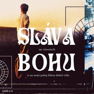 Lukáš 2:14-18 - „Sláva na výsostech Bohu
a na zemi pokoj lidem dobré vůle.“
Jakmile od nich andělé odešli do nebe, pastýři si řekli: „Pojďme do Betléma! Podíváme se, jak se stalo, co nám Hospodin oznámil.“ Pospíšili si tedy, a když přišli, nalezli Marii, Josefa i děťátko ležící v jeslích. Poté, co ho uviděli, začali rozhlašovat, co jim bylo o tom dítěti řečeno, a všichni, kdo to slyšeli, žasli nad tím, co jim pastýři říkali.