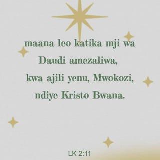 Lk 2:11 - maana leo katika mji wa Daudi amezaliwa, kwa ajili yenu, Mwokozi, ndiye Kristo Bwana.
