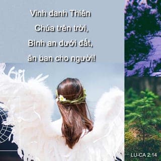 Lu-ca 2:13-16 - Bỗng nhiên, có muôn vàn thiên binh cùng với thiên sứ ấy ngợi ca Đức Chúa Trời rằng:
“Vinh danh Thiên Chúa trên trời,
Bình an dưới đất, ân ban cho người!”
Sau khi các thiên sứ lìa họ lên trời rồi, các người chăn chiên nói với nhau rằng: “Chúng ta hãy đi đến thành Bết-lê-hem xem việc đã xảy ra mà Chúa cho chúng ta biết.” Vậy, họ vội vàng đi đến đó, gặp Ma-ri, Giô-sép, và thấy con trẻ đang nằm trong máng cỏ.
