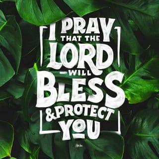 Numbers 6:24-26 - I pray that the LORD
will bless and protect you,
and that he will show you mercy
and kindness.
May the LORD be good to you
and give you peace.”