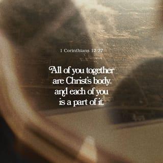 1 Corinthians 12:27 - Together you are the body of Christ. Each one of you is part of his body.