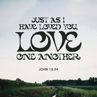 John 13:31-35 - When he was gone, Jesus said, “Now the Son of Man is glorified and God is glorified in him. If God is glorified in him, God will glorify the Son in himself, and will glorify him at once.
“My children, I will be with you only a little longer. You will look for me, and just as I told the Jews, so I tell you now: Where I am going, you cannot come.
“A new command I give you: Love one another. As I have loved you, so you must love one another. By this everyone will know that you are my disciples, if you love one another.”